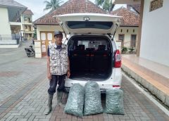 Petani Cabe Sumringah, H. Aslim Borong Hasil Taninya: Sukseskan Program Ketahanan Pangan